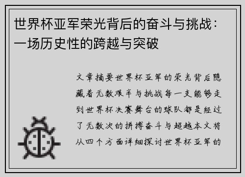 世界杯亚军荣光背后的奋斗与挑战：一场历史性的跨越与突破